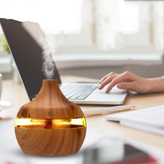 Essential Oil Diffuser and Ultrasonic Air Humidifier